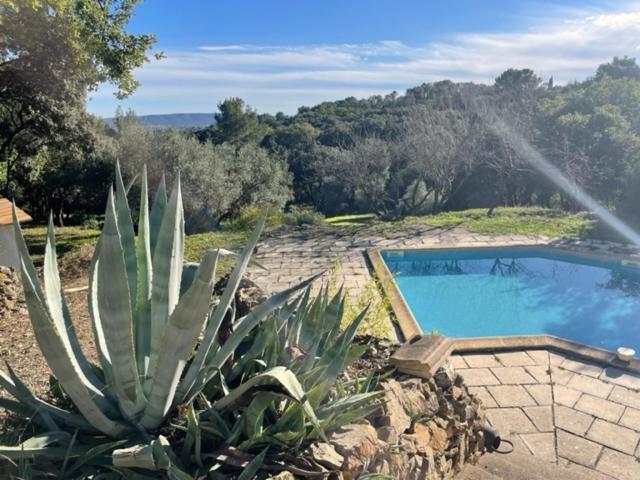 Bed and Breakfast Les Terrasses Des Gardies Pignan Exterior foto
